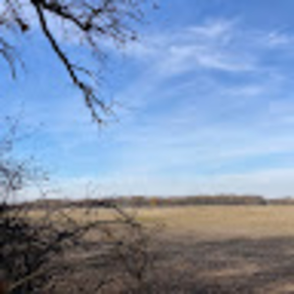 Meet your Posher, Autumn